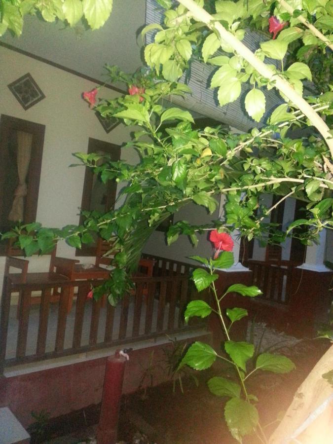 Family Homestay
